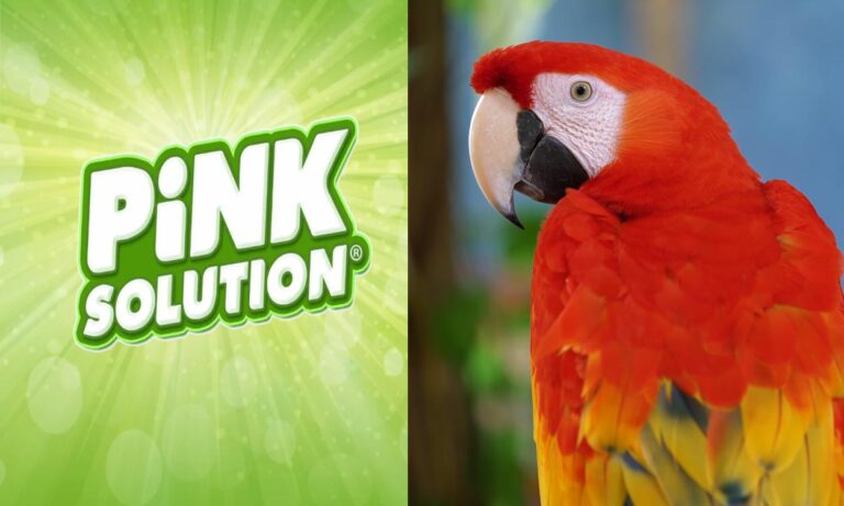 Is Pink Solution Really Safe for Birds