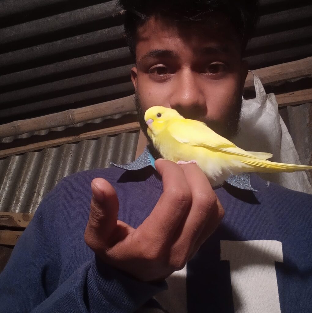 shanto shaha with pet budgie: lemon